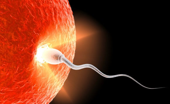 For better Sperms and Ovum. For better Sperms and Ovum.