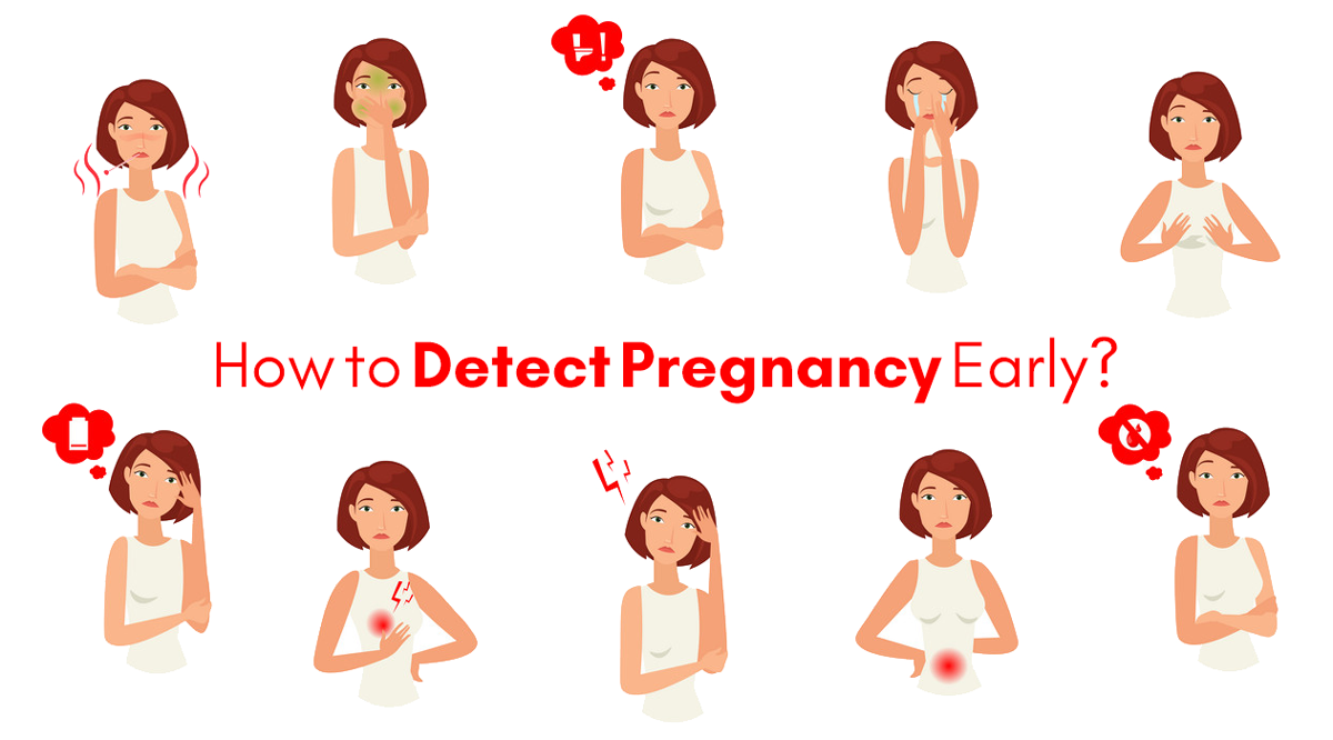 Pregnancy Quiz Before Missed Period - ProProfs Quiz